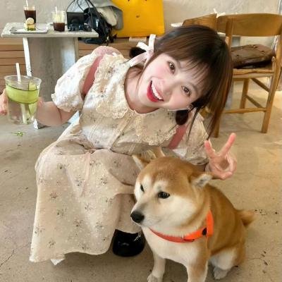 碎梦人生